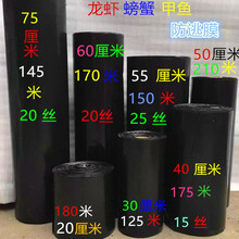 鑫琪 三木园艺 大闸蟹养殖黑色防逃膜小龙虾防逃网螃蟹苗甲鱼水产品池塘塑料围板 50厘米210米加工线