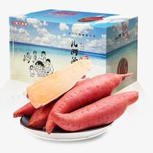 CJVC 六鳌蜜薯 地瓜 5斤中果 红薯 生鲜 产地直发 包邮