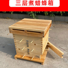 蜂箱 养蜂格子箱蜜蜂箱全套三层五层煮蜡蜂桶中蜂专用家小匠蜜蜂工具蜂具 三层杉木煮蜡厚约1.9cm内径27.5cm