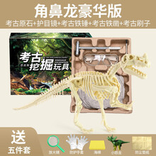 恐龙化石霸王龙骨架模型儿童手工diy制作挖宝石宝藏考古挖掘玩具 【豪华】角鼻龙-肉食性