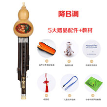葫芦丝C调降B调儿童初学成人学生入门零基础云南紫竹葫芦丝乐器 降B调经典款+教材