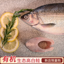 【新疆新源馆】赛湖 新疆赛里木湖有机高白鲑鱼整条鱼 新鲜生鱼片高档刺身顺丰冷链 两条装 净重500-600g去鳞去内脏