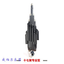 17簧14簧扩音笙乐器大全圆笙方笙修笙工具竽乐器笙包初学者 17簧专业笙【黑笙苗、黑管】