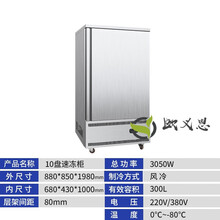 海鲜速冻机商用生胚包子饺子急冻柜零下40度冰柜冷冻冰箱 -80度速冻柜【10盘插盘式】