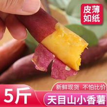 临安天目山小香薯金手指红薯新鲜现挖地瓜番薯山芋1/5斤 3斤天目山金手指