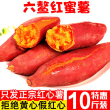 福建六鳌红蜜薯沙地新鲜红薯10斤农家香甜板栗红心地瓜糖心小番薯 5000g 大果