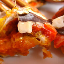 活鲜【冷链运输】鲜活大闸蟹六月黄现货 大闸蟹淡水湖蟹超大蟹尝鲜16只  罗莫利得 全母(2.3-2..8两)8只