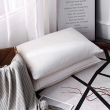 匠梓巧梦 新款高档枕头单人羽绒枕芯三合一天然枕芯 白色 48*74cm（一只装)