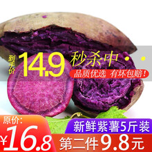 农家紫薯地瓜小香薯香芋香甜软糯 带箱5斤优惠装
