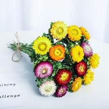 轻奢涞思芊云南天然雏菊干花花束真花风干ins网红装饰摆件文艺插花摆设装饰 （不带花瓶）15朵送2朵