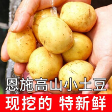 2021新土豆恩施富硒黄心小土豆洋芋蔬菜3斤5斤马铃薯 3斤 鸡蛋大小