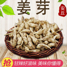 泡姜嫩姜仔姜新鲜子姜鲜姜1/5斤山东腌制糖醋大生姜泡菜姜芽 5斤精选姜芽(强烈)