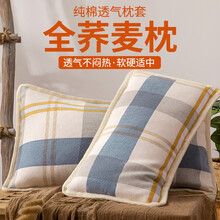 黄河口荞麦枕 颈椎枕 枕头荞麦护颈椎助睡眠荞麦皮枕头芯全棉纯棉枕头芯荞麦护颈椎枕 枕头芯枕头 浅石板灰 成人枕