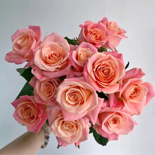 追逸网红猪猪小姐玫瑰鲜花高端婚礼爱人插花上海JD快递水养鲜切花 9支