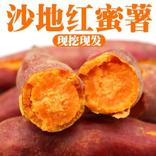 红薯新鲜红蜜薯西瓜红地瓜批发超甜糖心番薯板栗薯红心小香薯 小薯净重9斤装
