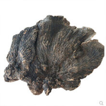 云南薄树灵芝 薄树芝 薄盖灵芝 可切片500克 薄树芝500克（30cm左右） 薄树芝整个