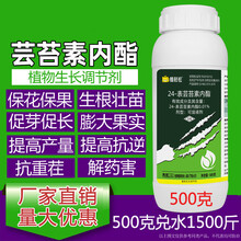 芸苔素内脂酯高效促根壮苗保花保果叶面肥农药云台生长调节剂 100g
