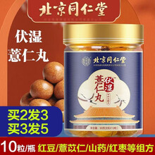 北京同仁堂伏湿薏仁丸伏湿丸薏仁丸红豆薏苡仁山药红枣麦芽糖浆蜂蜜可搭伏湿膏伏湿茶伏湿片伏湿贴 伏湿薏仁丸3盒（实付2盒价）