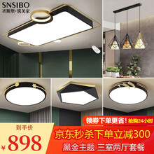 【2021新款】圣斯堡 轻奢黑金led吸顶灯北欧后现代客厅灯创意个性灯饰卧室餐厅书房全屋调光灯具套餐 ①套餐-三室两厅【店长推荐】