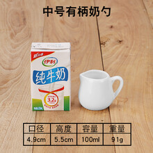 陶瓷小奶盅迷你奶缸奶罐蜂蜜奶杯咖啡牛奶壶奶勺欧式牛排汁斗糖缸 中号有柄奶勺