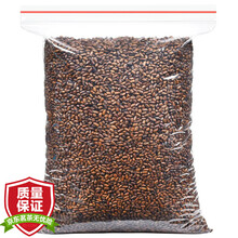 【发2袋共1000克】决明子茶 炒制熟决明子大颗粒可搭枸牛蒡根杞决明子菊花茶桂花茶散装500克/袋