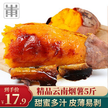云南烟薯25号 5斤装 甜蜜红薯地瓜蜜薯 烤红薯 新鲜红薯 烟薯25 烤地瓜 鲤赞庄园 山东馆 净重4.8-5斤装，单果150-400g