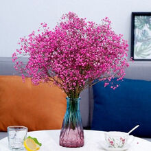 磐阙 上新云南天然满天星干花混搭花束真花风干家居摆设小清新大束带花瓶新品 玫红色满天星 带花瓶 干花包