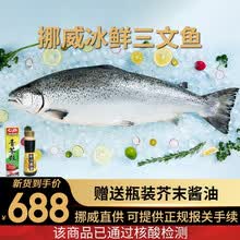 掌鲜生活 挪威冰鲜三文鱼刺身中段（大西洋鲑） 日式生鱼片 三文鱼腩刺身 三文鱼整条当天分割 健康轻食 整条10-12斤 （切割分段）