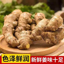 新鲜生姜 老姜 山东大黄姜带泥时令鲜蔬菜 5斤