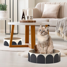 LAIKA 猫抓板窝 猫咪玩具 瓦楞纸猫窝磨爪器 猫爪盆磨爪板猫抓窝 养猫必备宠物猫咪用品 大号