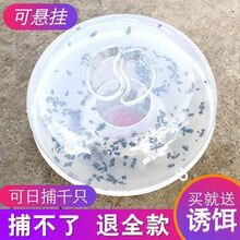 苍蝇家用抓捉捕蝇灭蝇苍蝇笼苍蝇粘苍蝇药一扫光诱捕蝇器 水笼捕蝇器 1个+1包药包