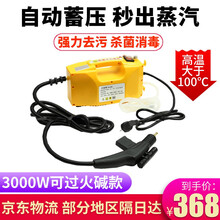 拼工高温高压蒸汽清洁机家用电器消毒空调厨房油烟机热水器去油污多功能商用家电清洗机洗车机全套工具设备 3000W家用高级可控款-过火碱-带照明射灯