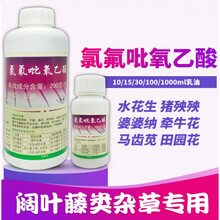 氯氟吡氧乙酸 水花生使他猪隆殃殃空心莲子草阔叶杂草除草剂 100ml