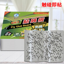 2021新品粘蚊子贴纸灭粘苍蝇板10片蝇子蚊子苍蝇贴纸强力粘蝇纸灭蝇捕蝇器家用一扫光 50片 26x28