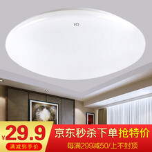 HD照明 走廊灯阳台灯过道灯 led吸顶灯阳台灯卧室厨卫走廊玄关灯 全白12W白光/直径23cm适8-13平