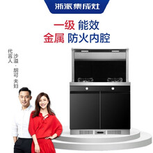 浙派（ZHEPΛi）9ZPD1 集成灶一体灶环保灶侧吸下排式油烟机燃气灶储物柜碗篮套装 液化气