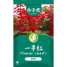 乐子君 春秋易种多花卉种子 矮杆一串红种子阳台花卉 室外庭院绿化花种籽子工程园林草花种子 一串红种子 1克约200粒