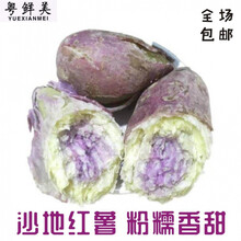 老农夫 【高州坡地番薯】新鲜冰淇淋红薯粉糯香甜板栗花心薯粉番薯一点红 10斤中薯冰淇淋【净重9斤】