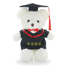 七夕情人节生日礼物毕业公仔博士帽小熊毕业礼物公仔定制泰迪熊订造大学毕业典礼玩偶生日礼物定制款 旋花绒白熊(精致款衣服) 不定制内容