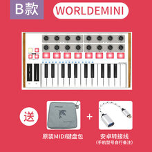 worlde-PANDAmini25键midi键盘打击垫音乐编曲键盘电音迷笛控制器 WORLDE MINI