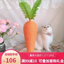 新款剑麻胡萝卜猫爬架 小型猫抓板磨爪猫咪玩具 双色可爱猫树猫抓柱架子仿真宠物用品 M(高约45cm) 猫咪爱玩