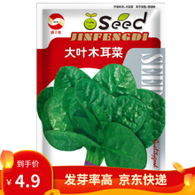 凤鸣雅世 大叶木耳菜种子菜种小青菜爬藤蔬菜种籽四季秋冬春季大叶种孑豆腐菜籽阳台盆栽青菜菜籽易种春季农 大叶木耳菜种子10克
