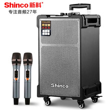 新科 大功率广场舞音响户外演出重音炮蓝牙拉杆音箱便携式大喇叭重低音扩音器专业活动会议音响 双麦克风 C27【12英寸低音双话筒】一只