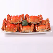 【活蟹】大闸蟹鲜活螃蟹活体特大现货礼盒海鲜水产蟹类 惟纳德 (公母2.8-2.3两)8只