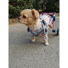 定制宠物助力车 狗狗轮椅后肢瘫痪康复小型犬代步残疾车猫辅助泰迪宠物狗狗后腿支架狗猫车病残犬轮椅车 XS加宽粉色标准款