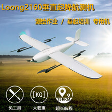 飞龙2160垂直起降 Vtol 航测机 T尾4+1 固定翼  测绘无人机空机 作业背包