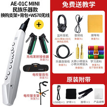 罗兰（Roland）电吹管乐器 AE01 C AE05 AE10 AE30电子吹管萨克斯民乐 AE01C+背包+支架+WS70无线接收器
