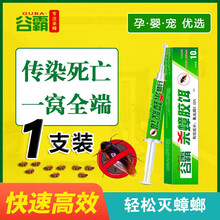 谷霸绿盒蟑螂药旗舰家用非无毒一窝全窝端神器厨房宠物无害大小通杀小强药小蟑螂药绝杀强力一扫光 1支装