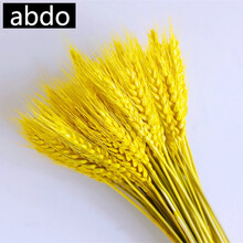 abdo轻奢高端花艺摆件天然麦穗干花花束开业大麦装饰摆件拍摄道具真花 金黄色麦穗100支
