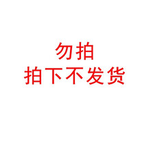 仿真动物玩具 梁龙